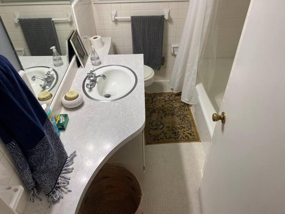 Whole House In Athens, Private, Fenced, Convenient, Close To Downtown מראה חיצוני תמונה